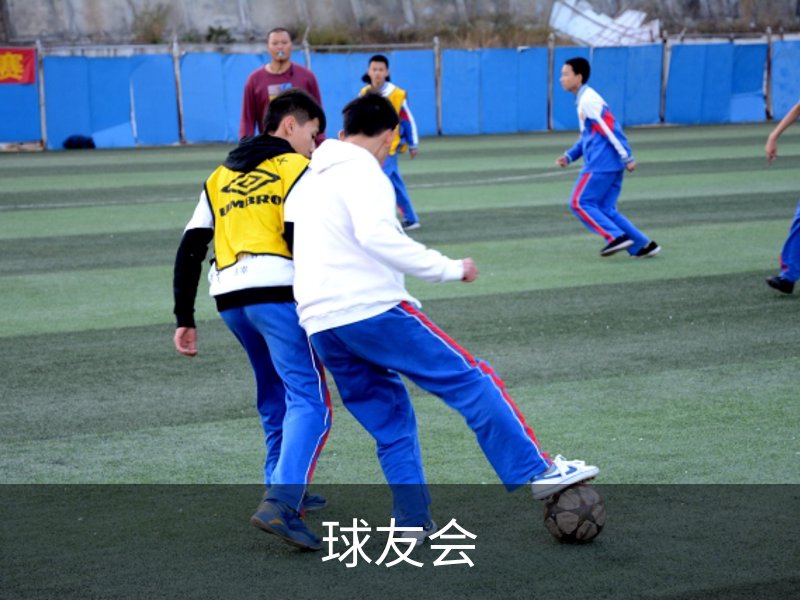 了解球友会